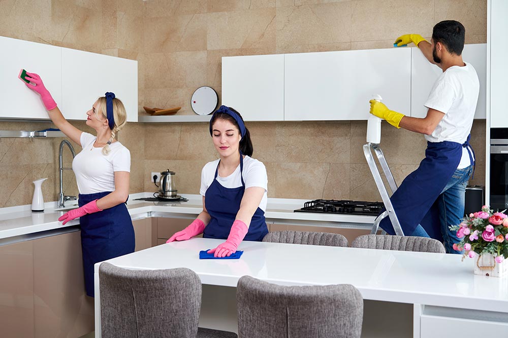 Difference between a maid vs a housekeeper? What they do / not