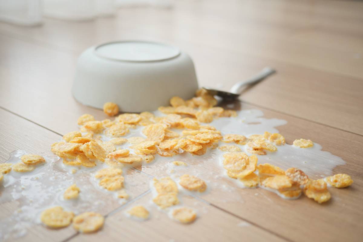 spilled-breakfast-cereal-on-floor-2024-12-13-08-34-54-utc (1)