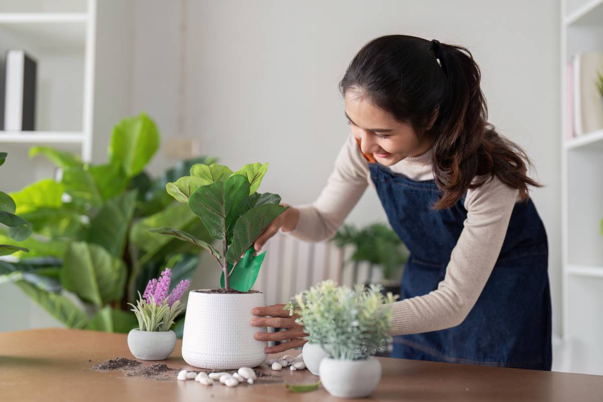 young-woman-planting-indoor-plants-gardening-enth-2025-01-10-12-51-27-utc (1)