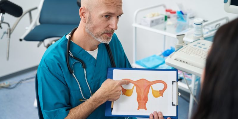 Doctor shows the patient the structure of the female system